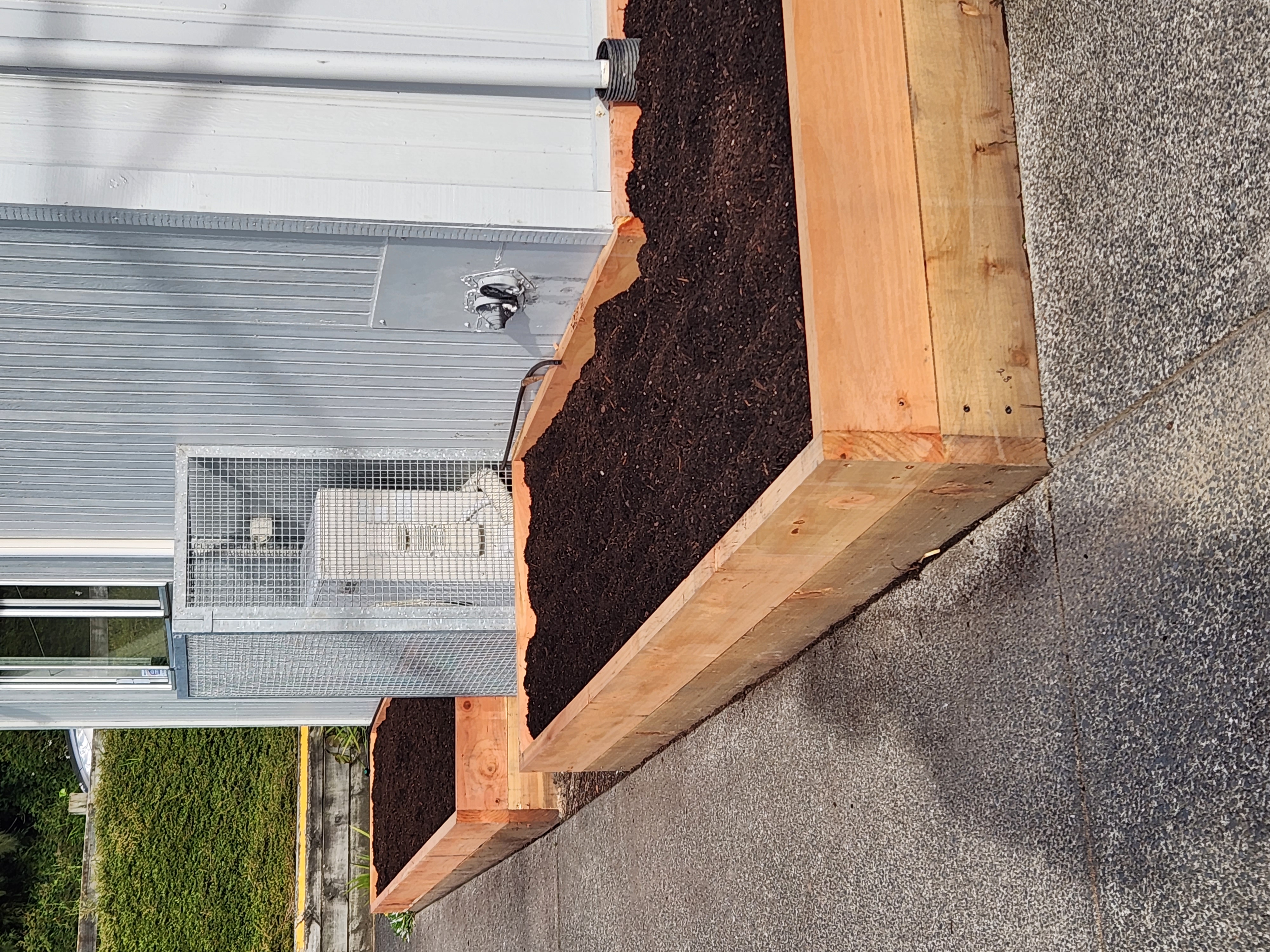 Team tending a vibrant food forest pathway