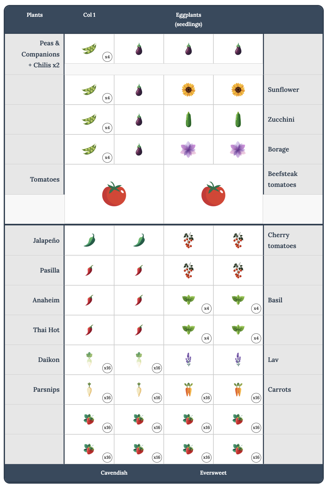 Spring garden layout showing peas, tomatoes, herbs, and strawberries spaced within a 3 meter bed.