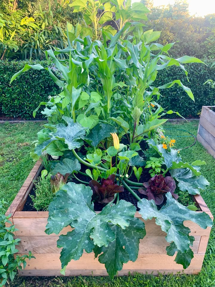 Screenshot showing layered compost ingredients