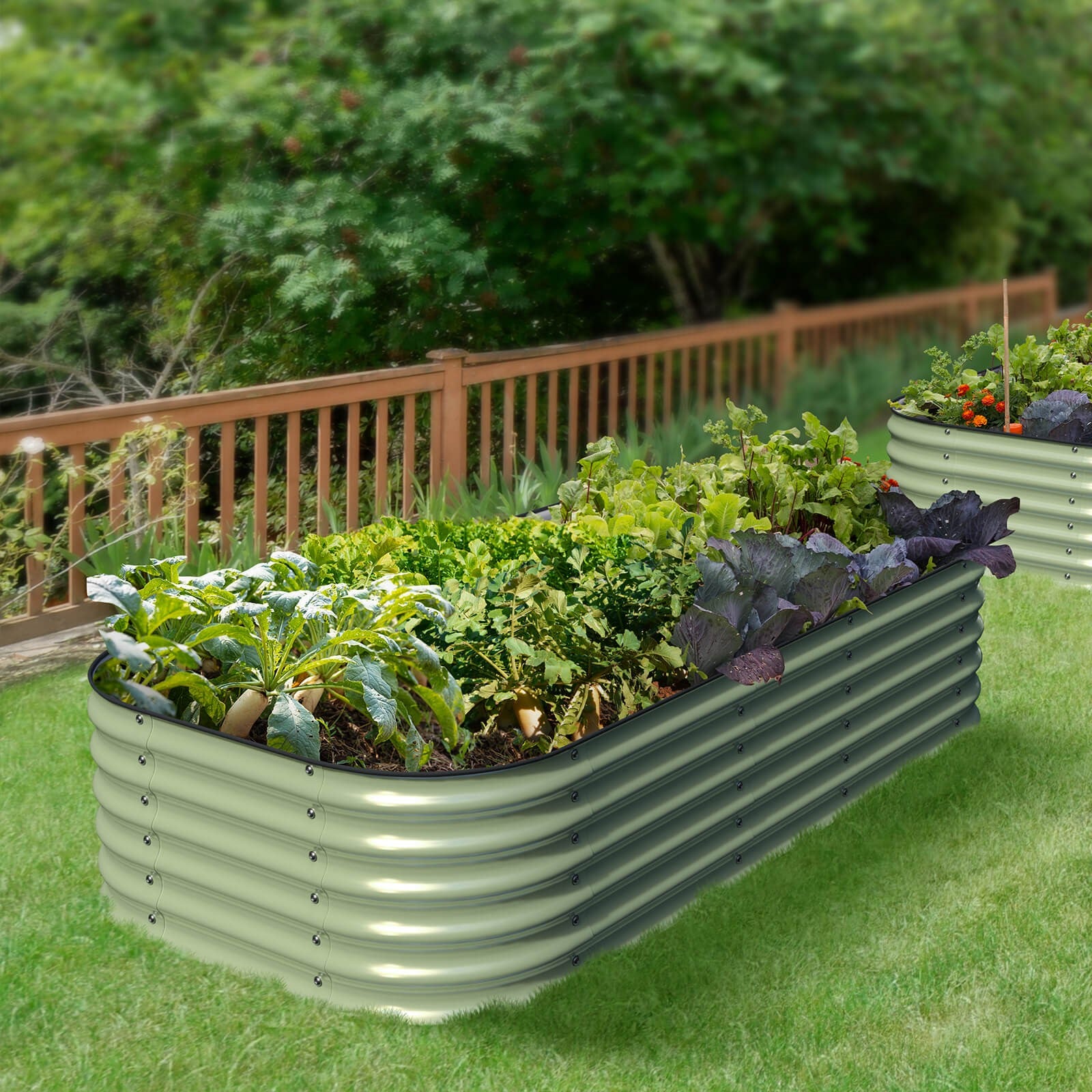Rolled steel raised garden bed in sage green