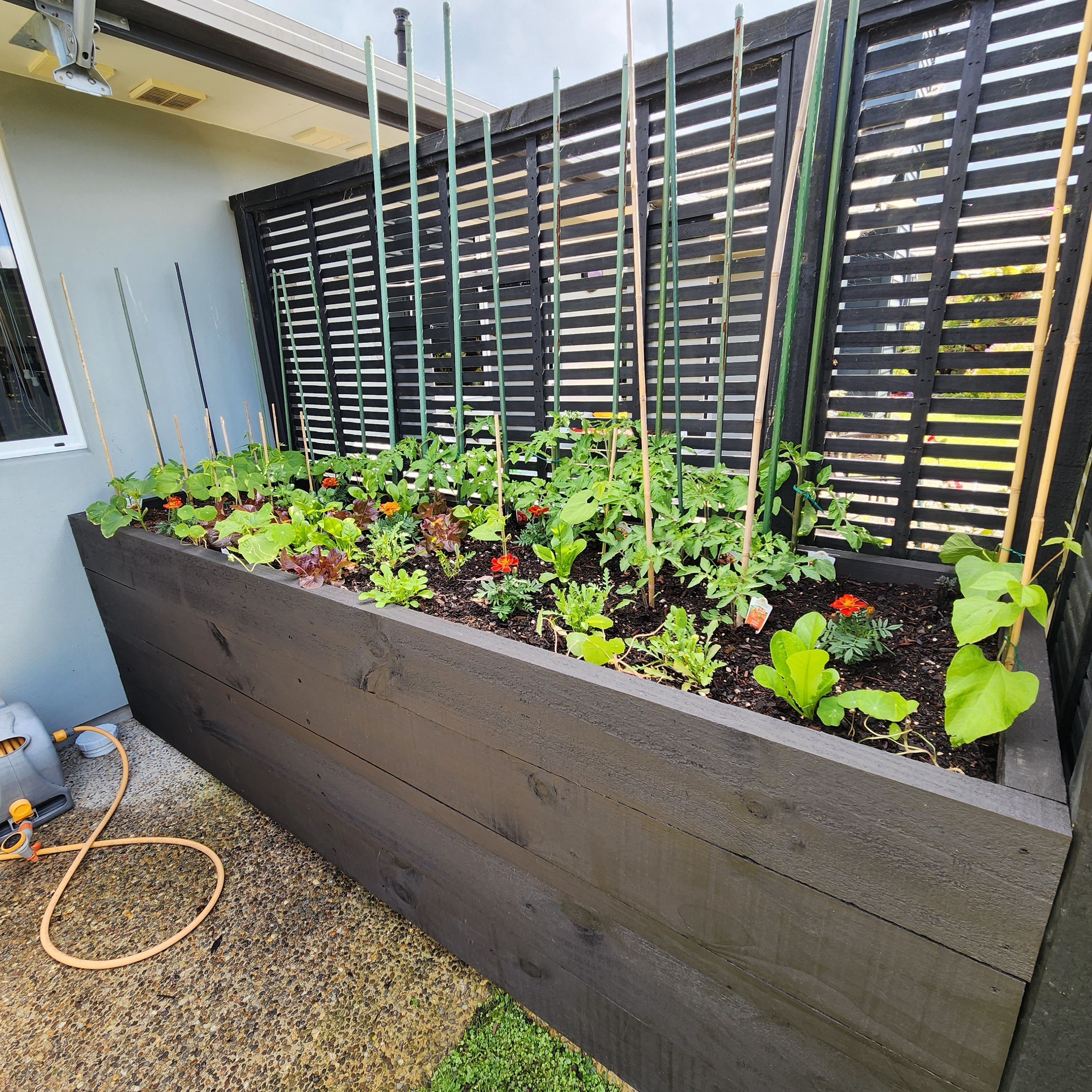 Lets Grow Home team refreshing raised beds during a garden tidy-up
