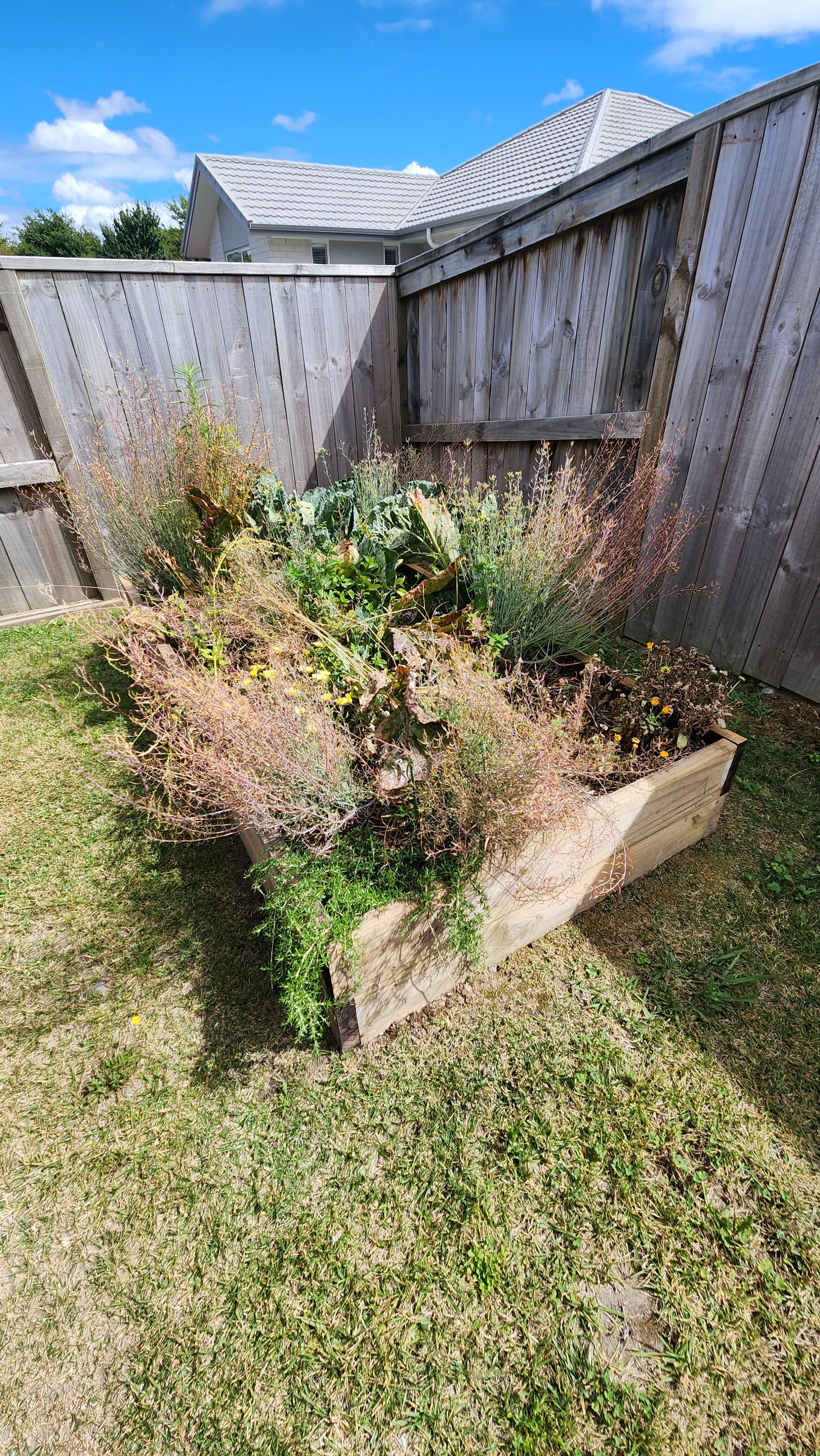 Lets Grow Home specialist pruning and refreshing a backyard garden bed thumbnail