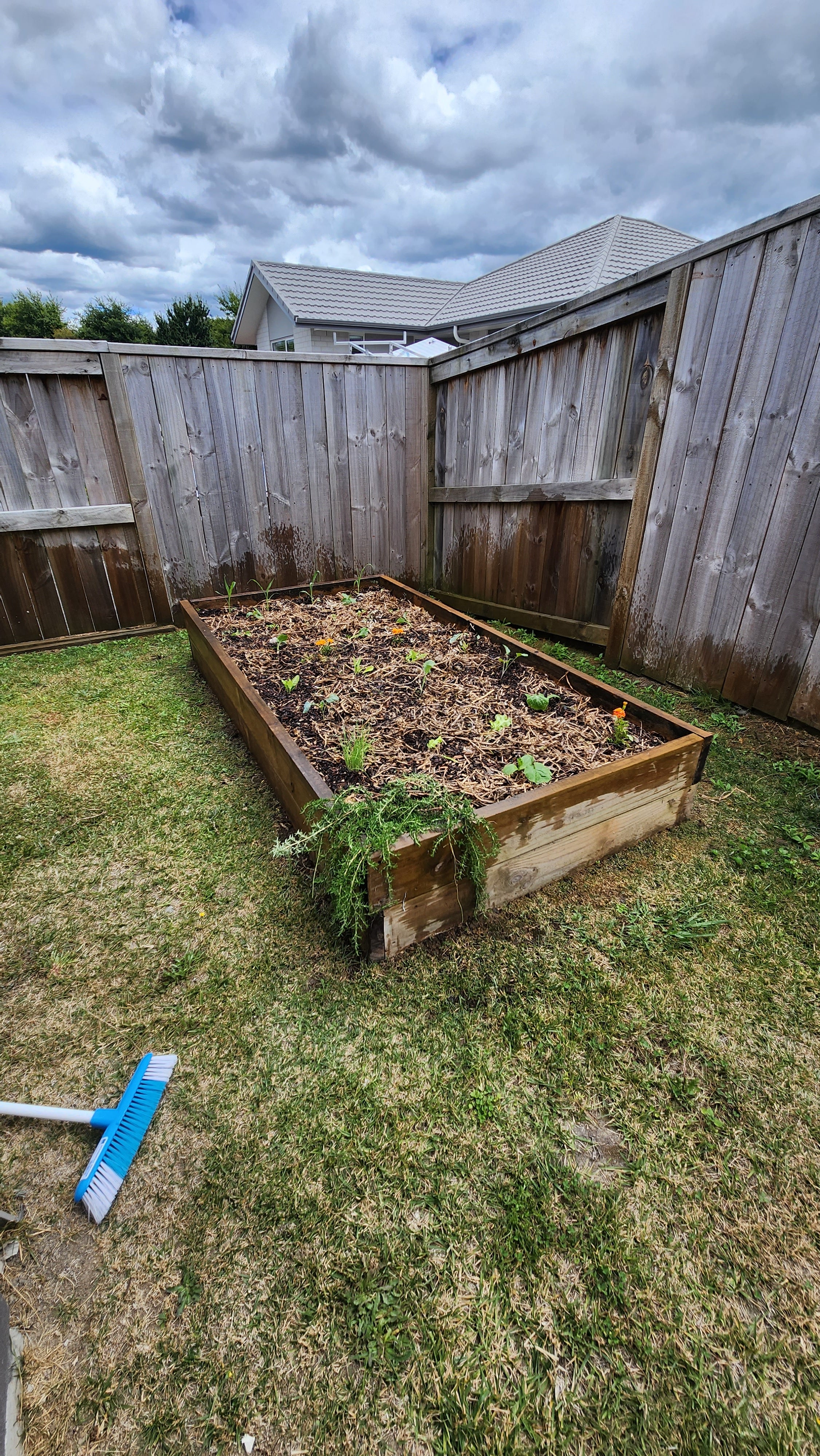 Garden maintenance visit with seasonal seedlings ready for planting thumbnail