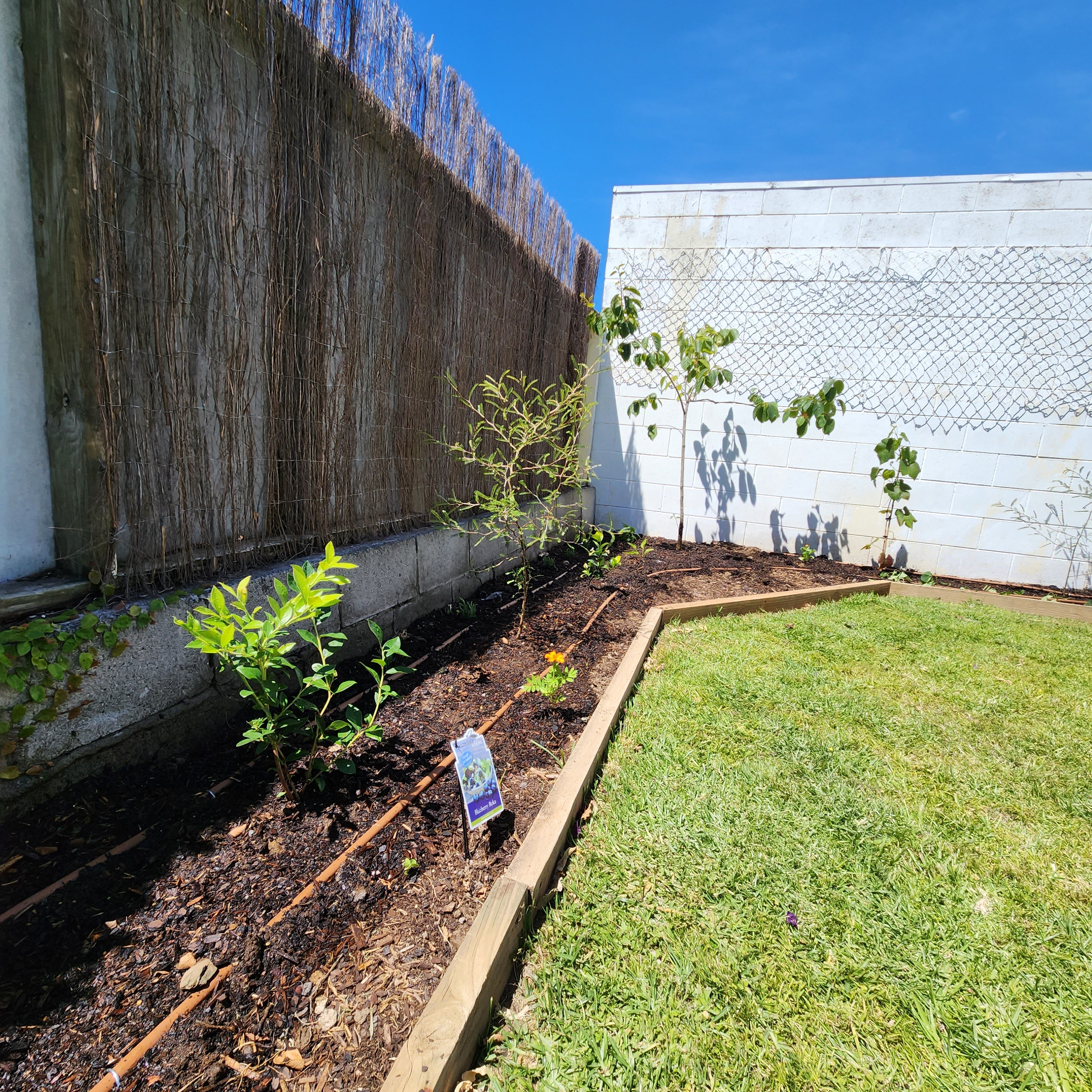 Raised beds after a Lets Grow Home seasonal maintenance session thumbnail