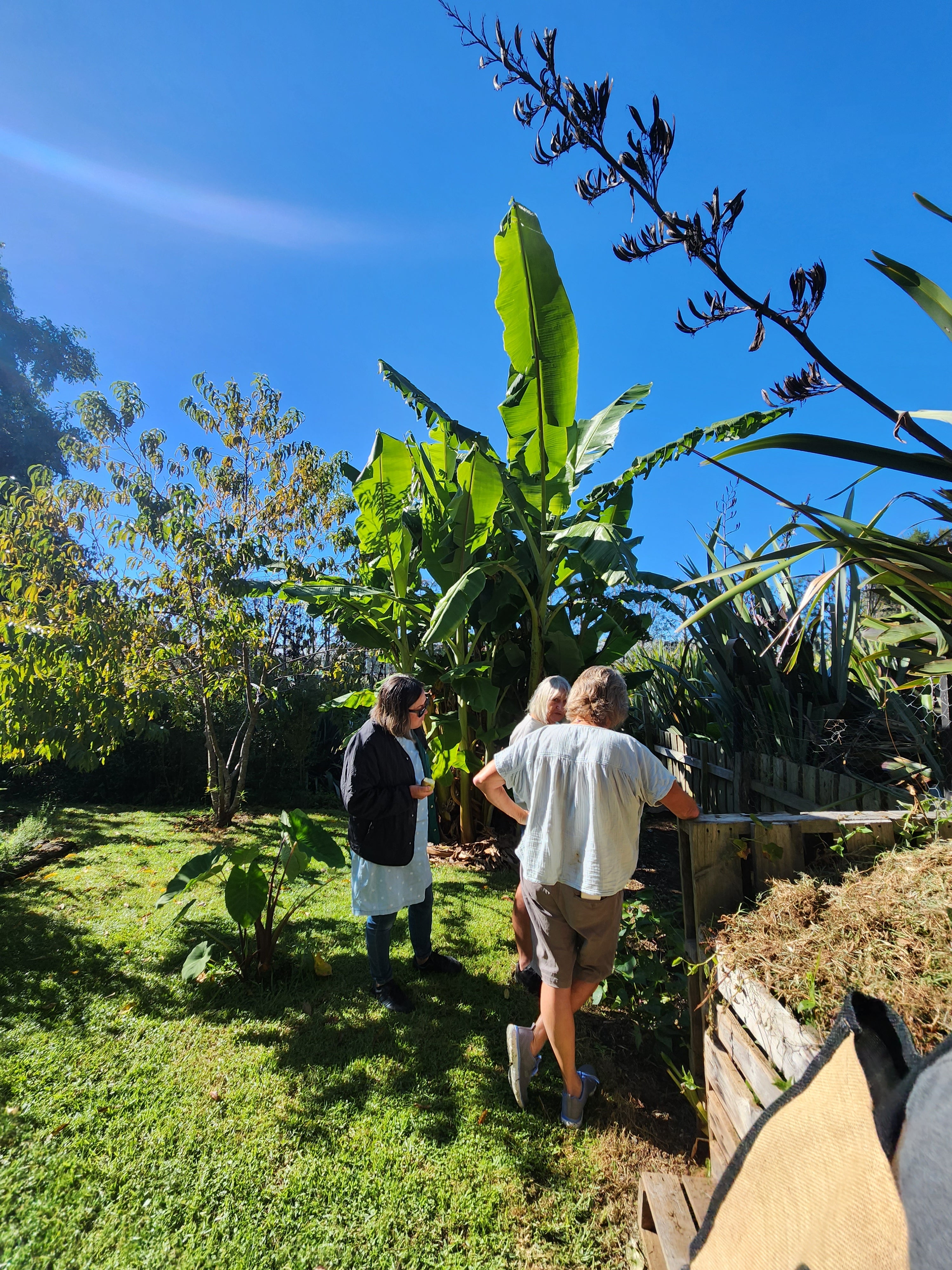Mulching and soil conditioning during a maintenance visit thumbnail